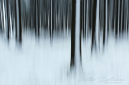 PAYSAGE_20140115_IMG_6029