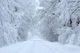 PAYSAGE_20150130_IMG_7720