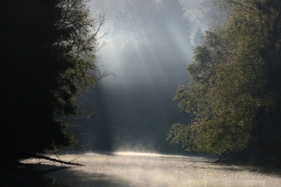 PAYSAGE_20160927_WALB5350