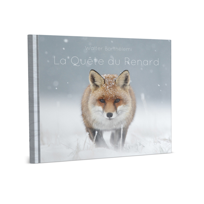 La Quête Du Renard Blanc Tome 3 Livre « La Quête du Renard" ⋆ Walter Barthélemi