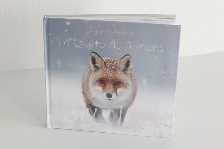 La Quête Du Renard Blanc Tome 3 Livre « La Quête du Renard" ⋆ Walter Barthélemi