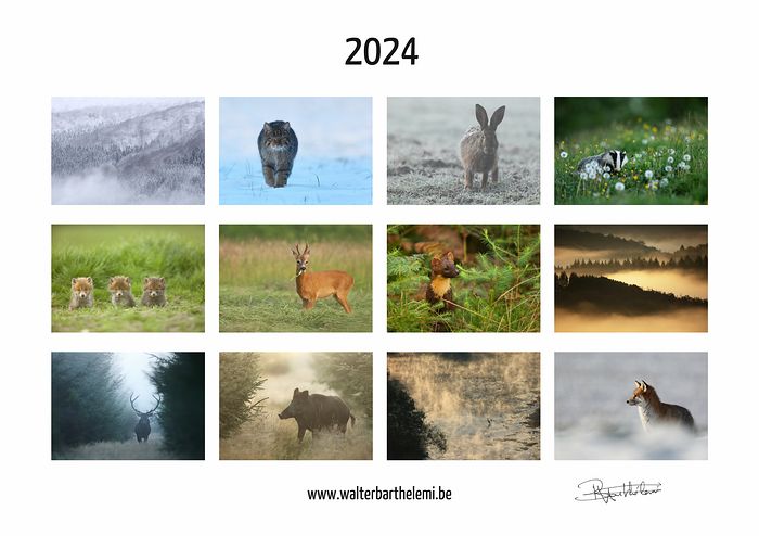 Calendrier Ardenne 2024 ⋆ Walter Barthélemi