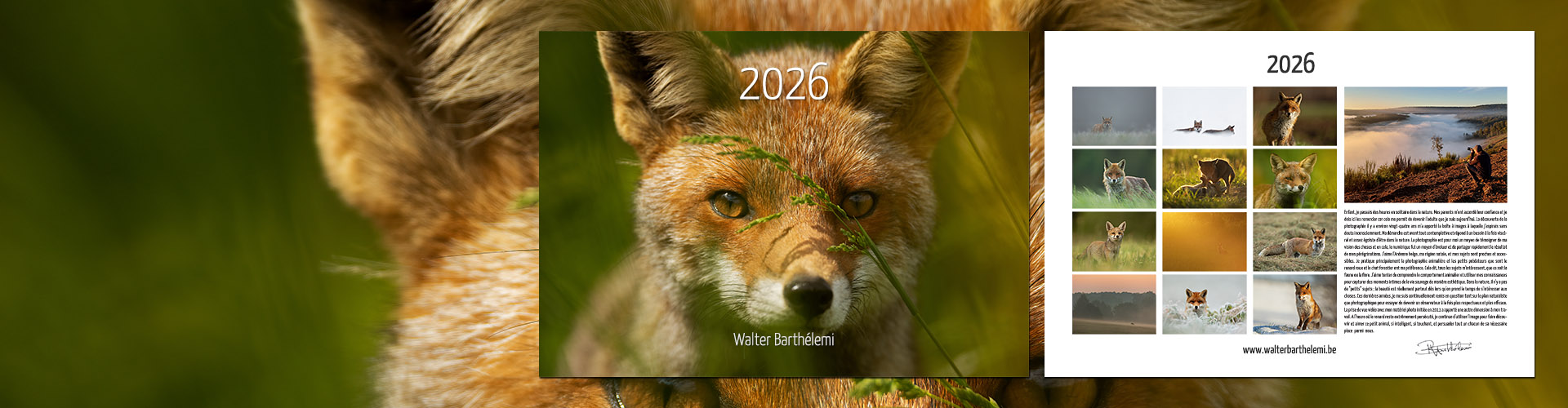 Calendrier "Renard roux" 2025